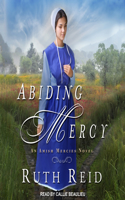 Abiding Mercy: (1 Amish Mercies)