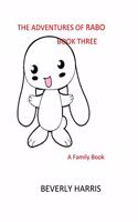 The Adventures of RABO - Book Three: A Family Book(3 The Adventures of Rabo)