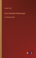 Franz Sternbalds Wanderungen: in Großdruckschrift