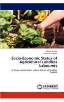 Socio-Economic Status of Agricultural Landless Labourers