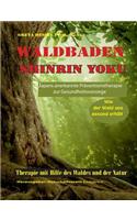 Waldbaden Shinrin Yoku: Wie der Wald uns gesund erhält