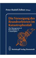 Die Versorgung des Brandverletzten im Katastrophenfall