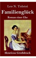 Familienglück (Großdruck): Roman einer Ehe