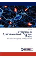 Dynamics and Synchronization in Neuronal Models