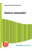 Galium Bolanderi