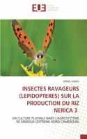 Insectes Ravageurs (Lepidopteres) Sur La Production Du Riz Nerica 3