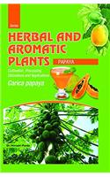 HERBAL AND AROMATIC PLANTS - Carica papaya (PAPAYA)