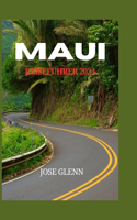 MAUI Reiseführer 2024