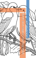 Birds and eagles coloring book