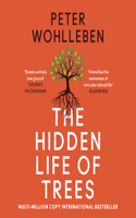 The Hidden Life of Trees: What They Feel, How They Communicate