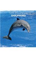 Dolphins 2015 Calendar