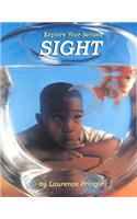 Sight