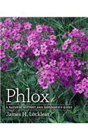 Phlox