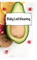 Baby Led Weaning