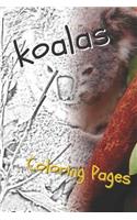 Koala Coloring Pages