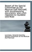 Report of the Special Committee on the Mexican Gulf Railroad, with Accompanying Documents