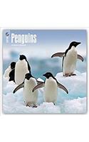 Penguins 2018 Calendar