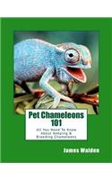 Pet Chameleons 101: All You Need To Know About Keeping & Breeding Chameleons