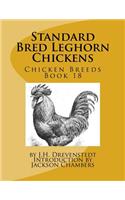 Standard Bred Leghorn Chickens