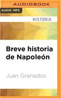 Breve Historia de Napoleón