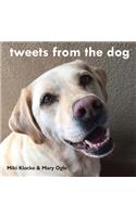 tweets from the dog