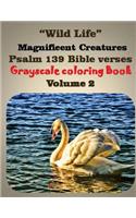 Wild Life magnificent creatures Psalm 139 bible verses