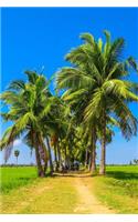 A Group of Palm Trees on a Bright Sunny Day Tropical Journal