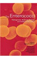 The Enterococci: Pathogenesis, Molecular Biology, and Antibiotic Resistance