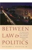 Between Law and Politics