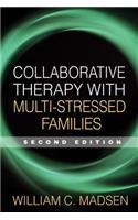 Collaborative Therapy with Multi-Stressed Families, Second Edition