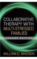 Collaborative Therapy with Multi-Stressed Families