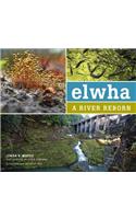 Elwha