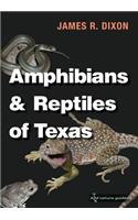 Amphibians and Reptiles of Texas