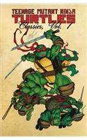 Teenage Mutant Ninja Turtles Classics Volume 1