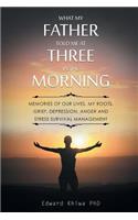What My Father Told Me at Three in the Morning: Memories of Our Lives, My Roots, Grief, Depression, Anger and Stress Survival Management