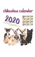 chihuahua calendar 2020: The best (Dog Breed Calendar) Monthly Wall or Desk Calendar for Chihuahua Breed Fans - Funny Quotes & Pictures 8.5 inch * 11 inch