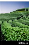 Notebook: Moc Chau Tea Hills, Green, The Hill, Tea Notebook / Journal / Diary / Composition book - 6 x 9 inches (15,24 x 22,86 cm), 150 pages, glossy finish.