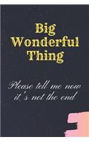 Big Wonderful Thing