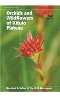 Orchids and Wildflowers of Kitulo Plateau