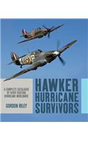 Hawker Hurricane Survivors