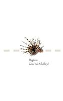 Hyphen