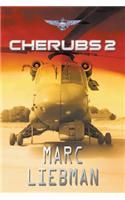 Cherubs 2