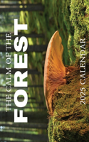 Calm of the Forest 2025 Calendar