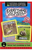 Everything You Should Know About