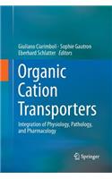 Organic Cation Transporters