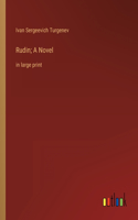 Rudin; A Novel