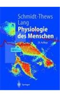 Physiologie Des Menschen