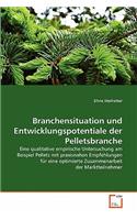 Branchensituation und Entwicklungspotentiale der Pelletsbranche