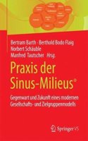 Praxis Der Sinus-Milieus(r)