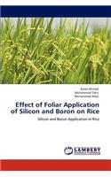 Effect of Foliar Application of Silicon and Boron on Rice